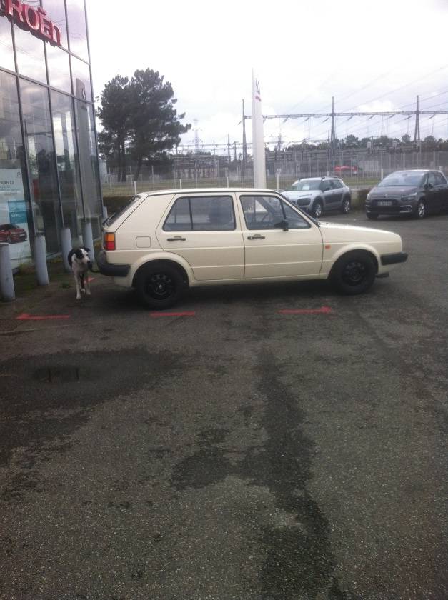 Restauration golf au garage nogues morcenx